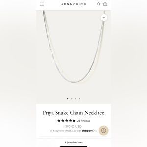 Jenny Bird Priya Chain Silver Necklace